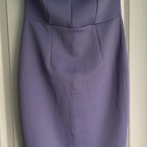 Venus Womens Size 4 Periwinkle Strapless Tube Mini Dress Brand New - Picture 4 of 5